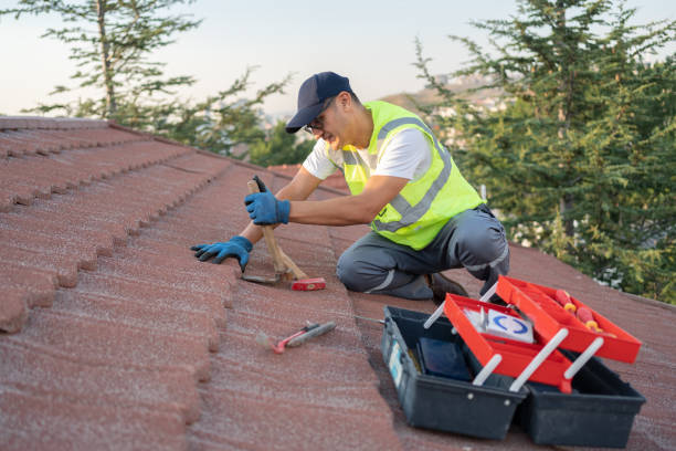 Roof Gutter Cleaning in Palm Beach Gardens, FL